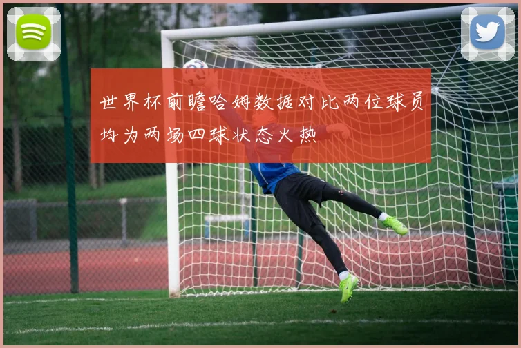 世界杯前瞻哈姆数据对比两位球员均为两场四球状态火热